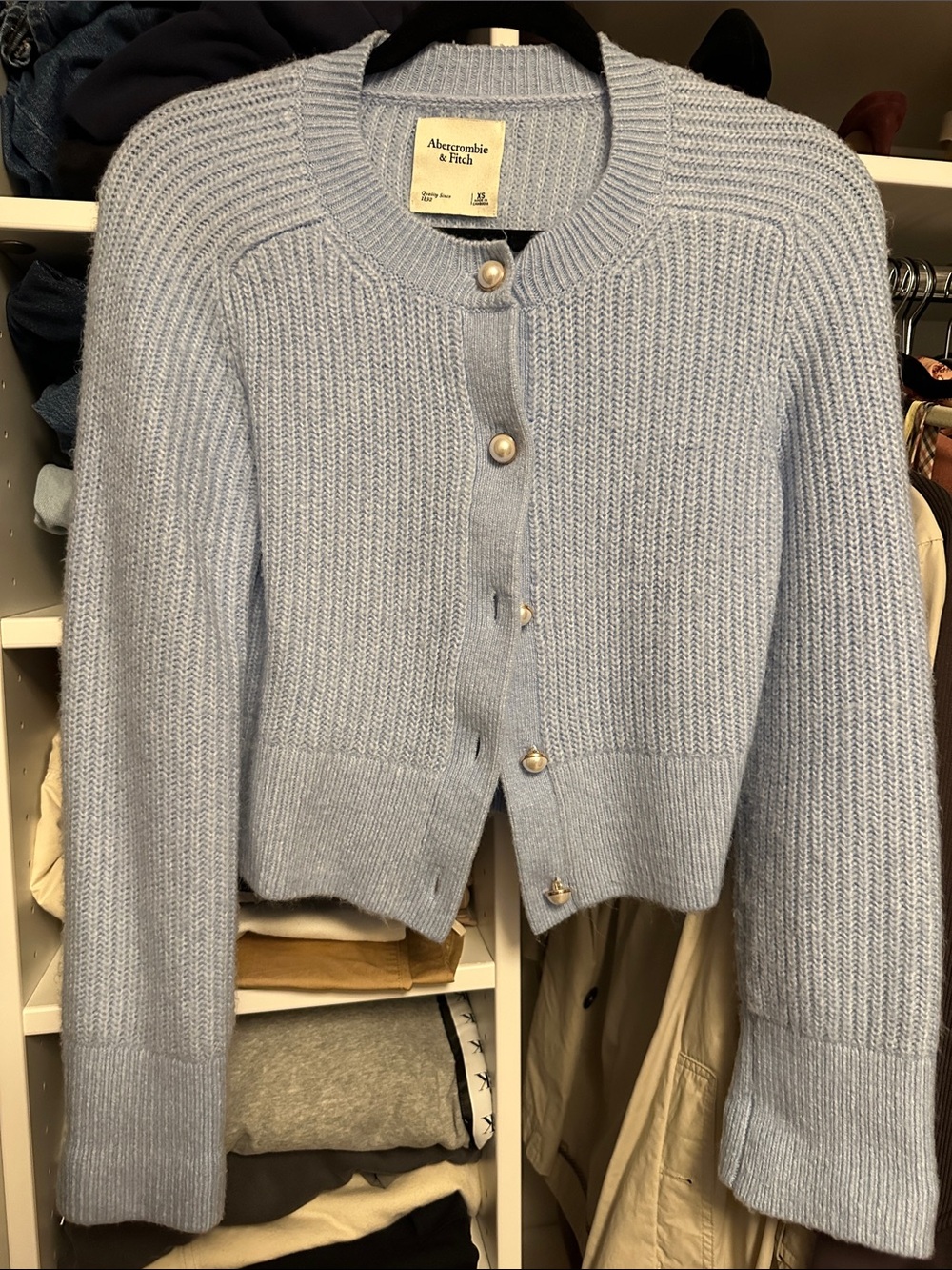 Abercrombie & Fitch Powder Blue Pearl-Button Cardigan